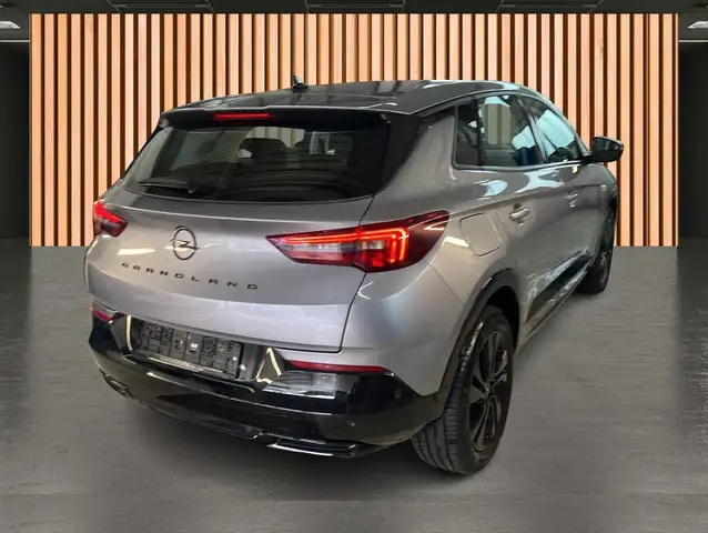 Opel Grandland X view 24