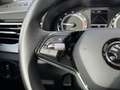 Skoda Kamiq 1.0 TSI G-TEC Clever PDC Kessy Climatr. Shz Smartl Blau - thumbnail 25