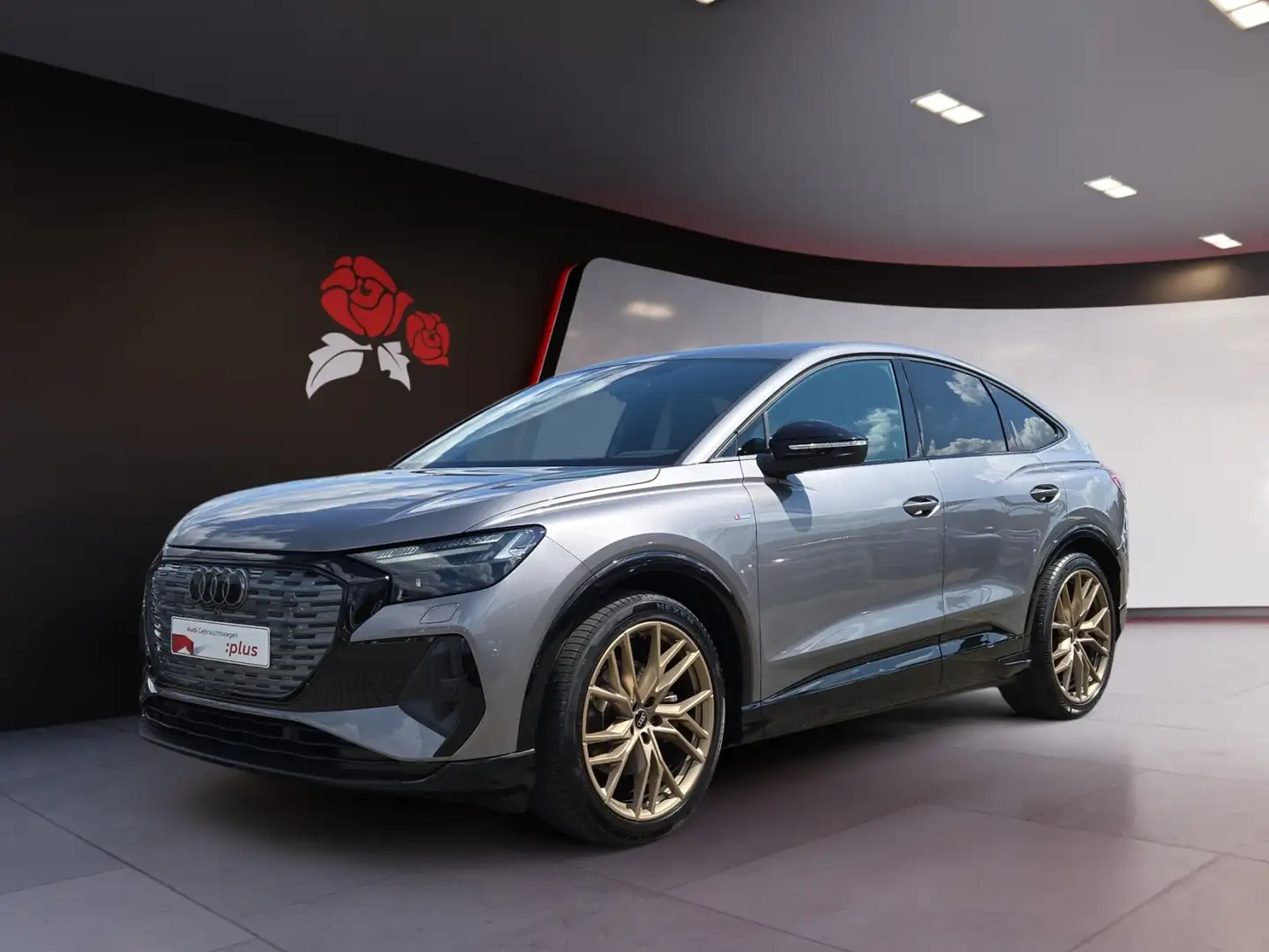 Audi Q4 e-tron Sportback 35 Matrix-LED Pano GRA Grau - 2