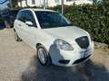 Lancia Ypsilon Ypsilon 1.3 MJT 75 CV Platino Cambio Automatico Bianco - thumbnail 5