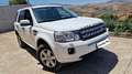 Land Rover Freelander 2.2 SD4 S.W. Limited Edition Blanc - thumbnail 1