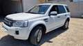 Land Rover Freelander 2.2 SD4 S.W. Limited Edition Blanc - thumbnail 2