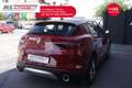Alfa Romeo Stelvio Alfa Romeo Stelvio 2.2 Turbodiesel 190 CV AT8 RWD Rosso - thumbnail 12