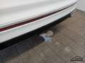 Volkswagen Tiguan R-Line 1.4TSI DSG LED NAV AHK SHZ Rear View Bianco - thumbnail 14
