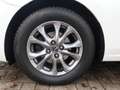 Mazda 2 Exclusive-Line G-90 AT TOU-P1 ACAA SHZ BLUETOOTH T Bianco - thumbnail 9