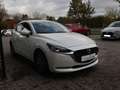 Mazda 2 Exclusive-Line G-90 AT TOU-P1 ACAA SHZ BLUETOOTH T Bianco - thumbnail 6