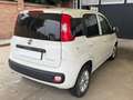 Fiat Panda 1.0 firefly hybrid Bianco - thumbnail 16