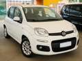 Fiat Panda 1.0 firefly hybrid Bianco - thumbnail 14