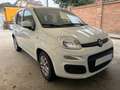 Fiat Panda 1.0 firefly hybrid Bianco - thumbnail 17