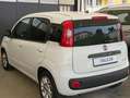Fiat Panda 1.0 firefly hybrid Bianco - thumbnail 13
