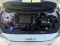 Kia Picanto 1.0 Vision PDC Klima  Navi Sofort Weiß - thumbnail 13