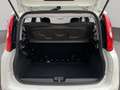 Fiat Panda 1.2 69CV EASY Bianco - thumbnail 15
