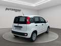 Fiat Panda 1.2 69CV EASY Bianco - thumbnail 4