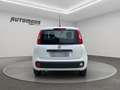 Fiat Panda 1.2 69CV EASY Bianco - thumbnail 5