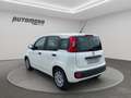 Fiat Panda 1.2 69CV EASY Bianco - thumbnail 6