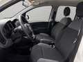 Fiat Panda 1.2 69CV EASY Bianco - thumbnail 7