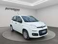 Fiat Panda 1.2 69CV EASY Bianco - thumbnail 3