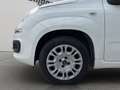 Fiat Panda 1.2 69CV EASY Weiß - thumbnail 16