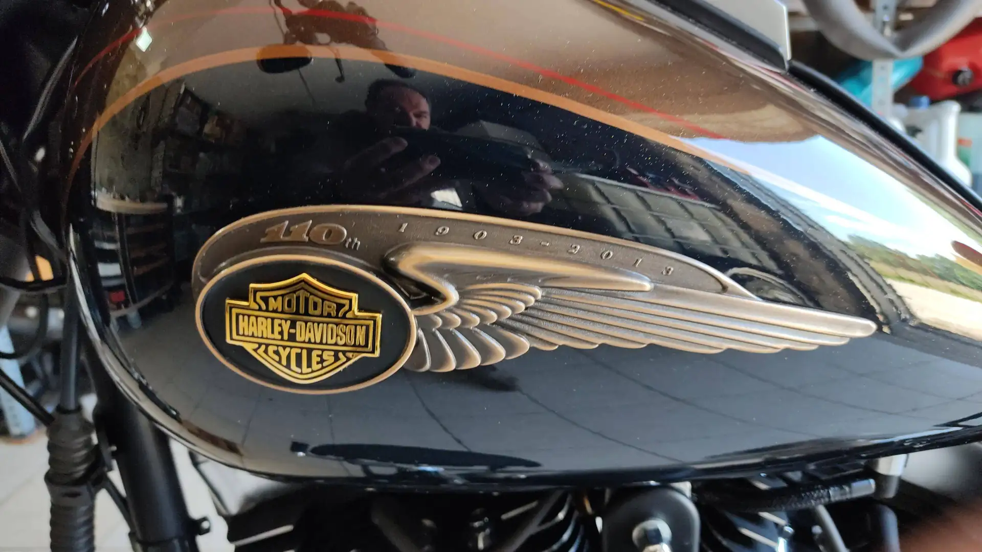 Harley-Davidson Fat Boy LO SPECIAL 110th Anniversary Edition Marrón - 2