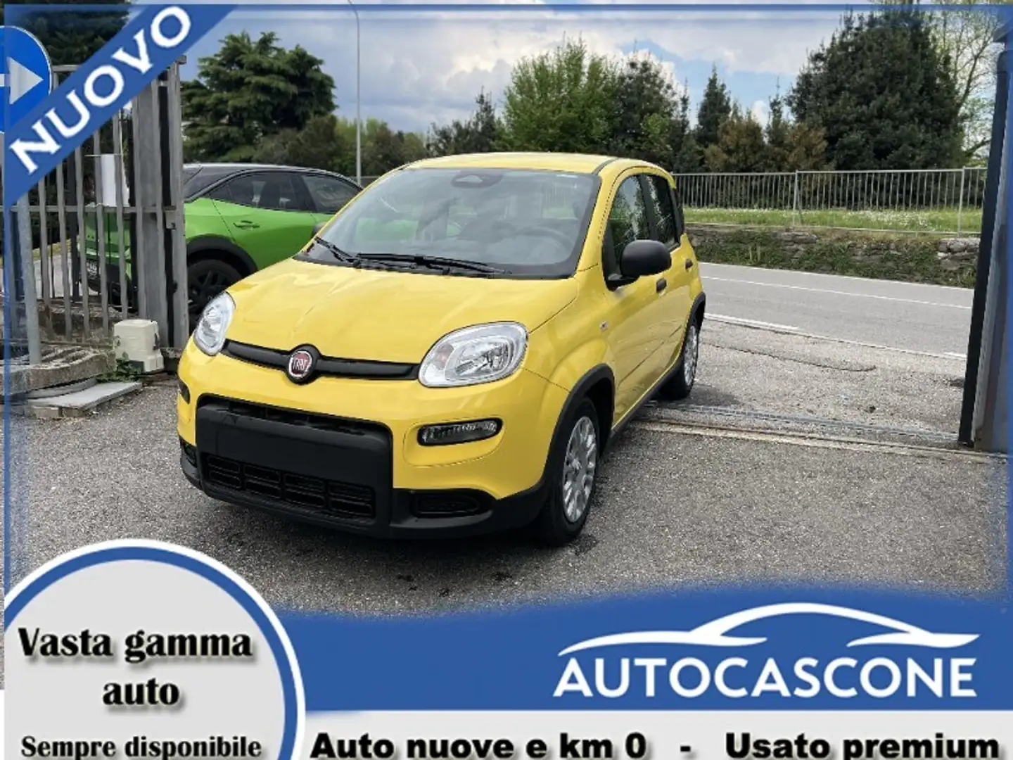 Fiat Panda Panda 1.0 FireFly S&S Hybrid Pop Giallo - 1