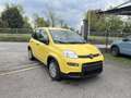 Fiat Panda Panda 1.0 FireFly S&S Hybrid Pop Giallo - thumbnail 4