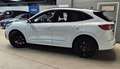 Ford Kuga EcoBoost ST-Line X Blanco - thumbnail 3