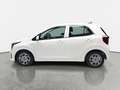 Kia Picanto PICANTO 1.0 AUTO. (AMT) VISION MJ25 SITZH. NAVI KA Weiß - thumbnail 6