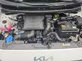 Kia Picanto PICANTO 1.0 AUTO. (AMT) VISION MJ25 SITZH. NAVI KA Weiß - thumbnail 16