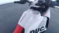 Ducati DesertX Rally Blanco - thumbnail 13