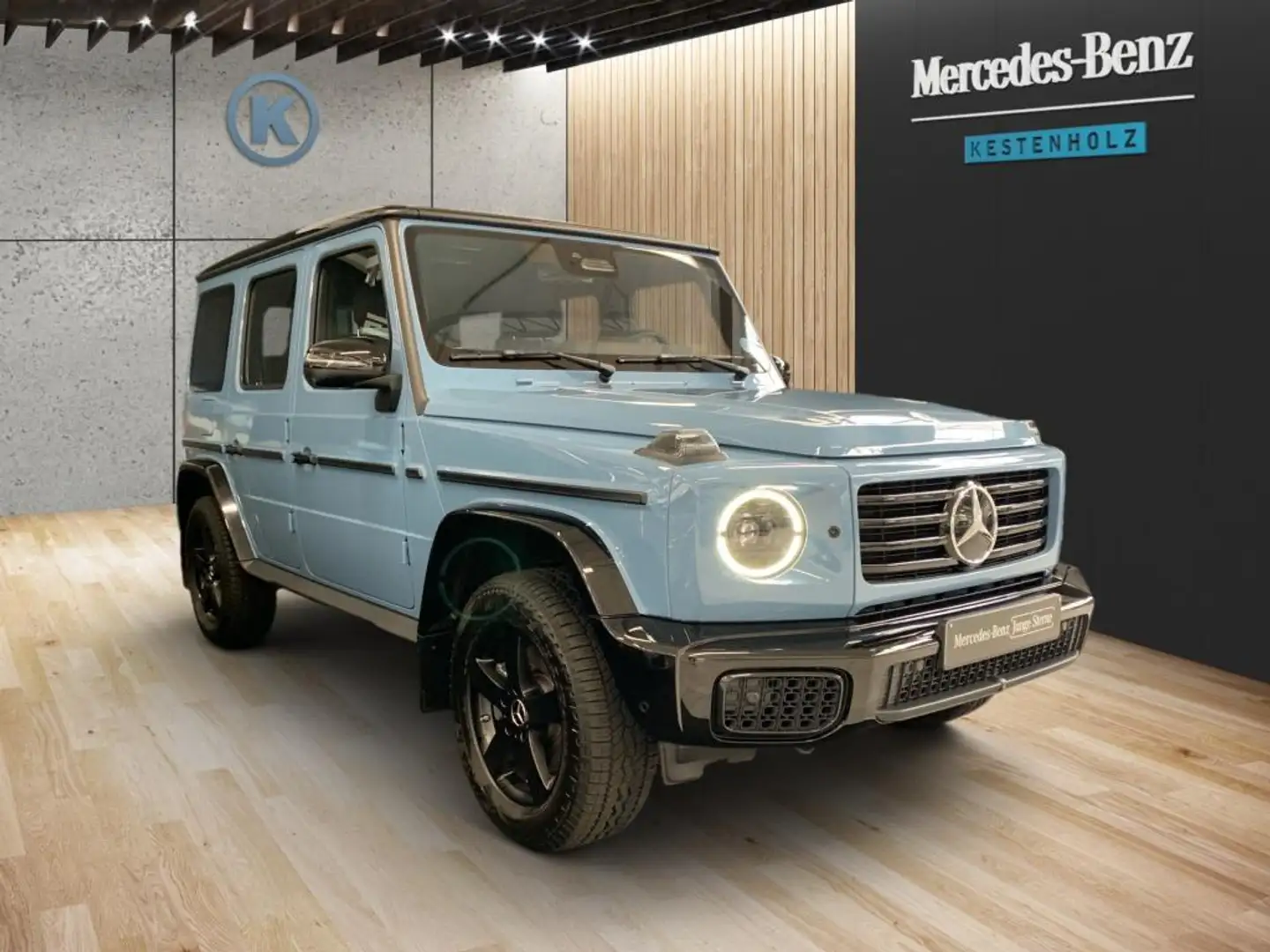 Mercedes-Benz G 450 d *PROFESSINAL*STANDHZG*AHK*SCHIEBEDACH* Blau - 2