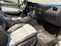 Audi S5 3.0 TFSI S tronic quattro Cabrio  *B&O*Kamera* Weiß - thumbnail 14