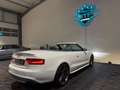Audi S5 3.0 TFSI S tronic quattro Cabrio  *B&O*Kamera* Weiß - thumbnail 10