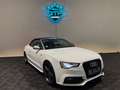 Audi S5 3.0 TFSI S tronic quattro Cabrio  *B&O*Kamera* Weiß - thumbnail 2