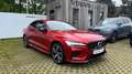 Volvo S60 Recharge R-Design, T8 AWD laddhybrid 3YEAR WARRANT Rosso - thumbnail 6