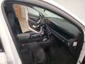 Hyundai TUCSON FL Híbrido enchufable 1.6 T-GDi (253 CV) AT6 2WD Blanco - thumbnail 5