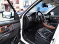 Land Rover Range Rover Sport 3.0TDV6 AB Aut. Blanco - thumbnail 14