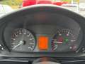 Mercedes-Benz G 300 Professional / Militär Klima uvm. Grün - thumbnail 9