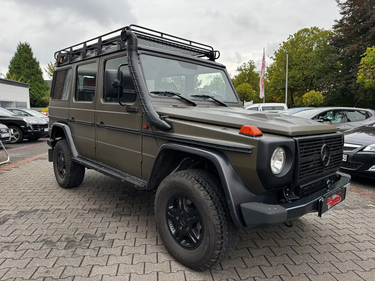 Mercedes-Benz G 300 Professional / Militär Klima uvm. Grün - 1