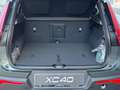 Volvo XC40 XC40 B3 automatico Plus Dark PRONTA CONSEGNA Verde - thumbnail 8