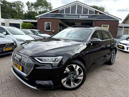 Audi e-tron e-tron 50 quattro Launch edition Panoramadak, Leer