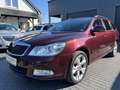 Skoda Octavia Combi Elegance +Xenon+T-Leder+Tempomat+ Rot - thumbnail 1