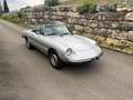 Alfa Romeo Spider 1600 Fastback Argintiu - thumbnail 1