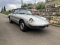 Alfa Romeo Spider 1600 Fastback Ezüst - thumbnail 10