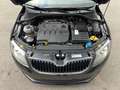Skoda Octavia 1.6 TDI JOY 81 kw, Euro-6, NAVI, XENON Schwarz - thumbnail 14