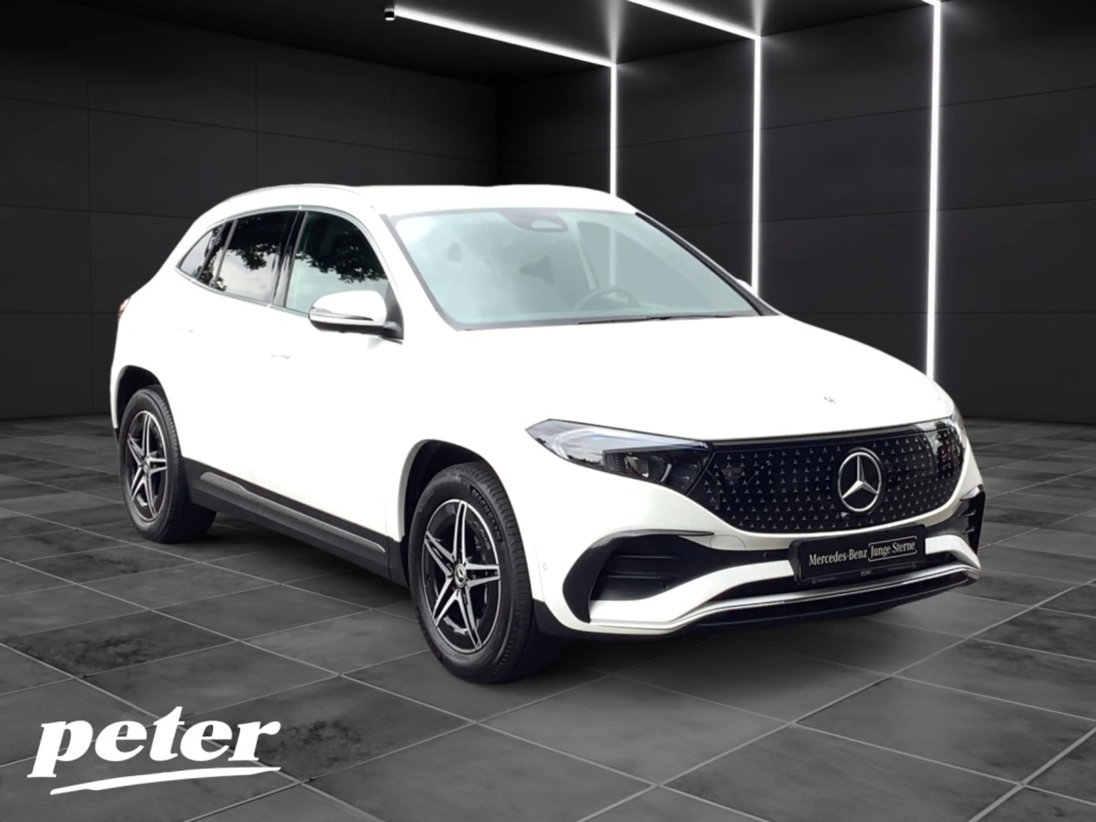 Mercedes-Benz EQA 300 4M AMG*Advanced*LED*360°Kamera*Leder-P.* — photo 4