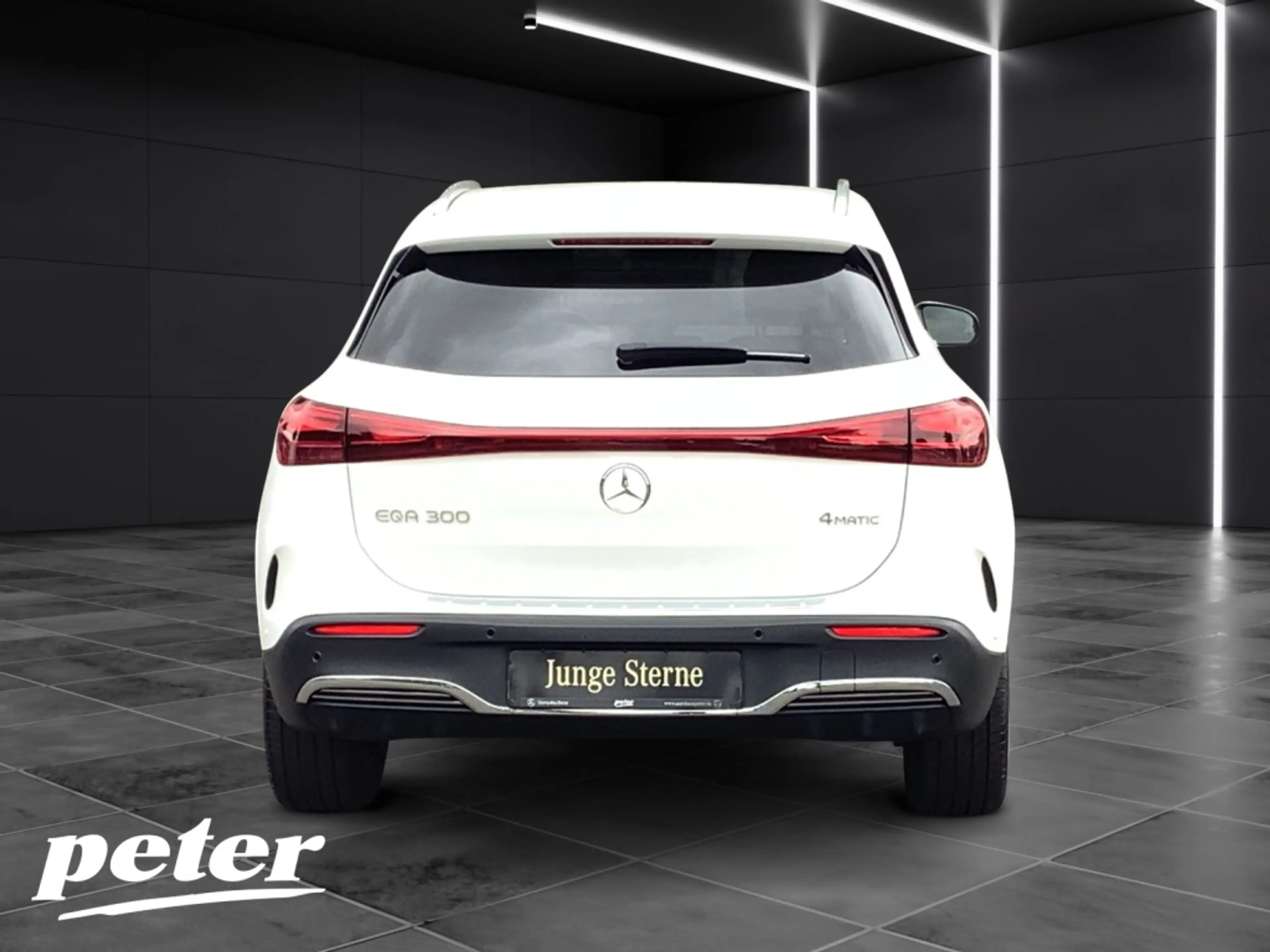 Mercedes-Benz EQA 300 4M AMG*Advanced*LED*360°Kamera*Leder-P.* — photo 5
