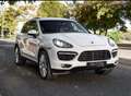 Porsche Cayenne Turbo Aut. Weiß - thumbnail 4