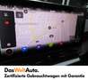 CUPRA Formentor 2.0 TDI 150 PS DSG 4Drive Gris - thumbnail 19
