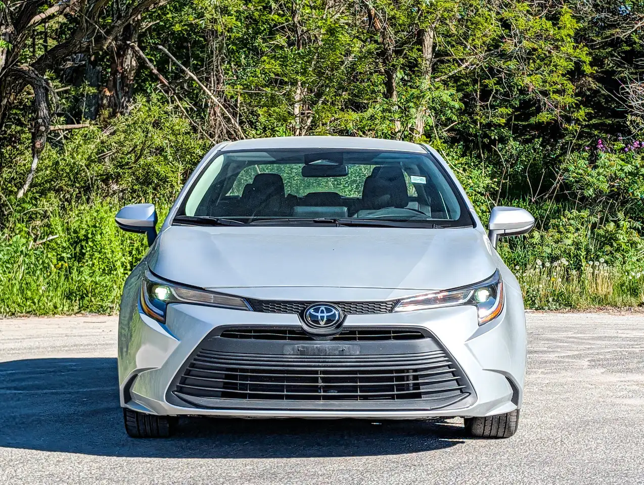 Toyota Corolla снимка Toyota Corolla