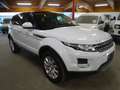 Land Rover Range Rover Evoque 2.2 TD4 4x4 Pure Tech Alu 18 Bianco - thumbnail 3